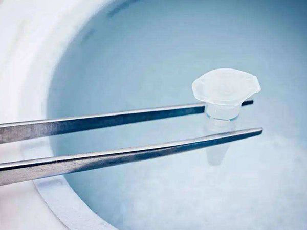 胚胎着床胚胎发育慢广州哪里做试管成功率高