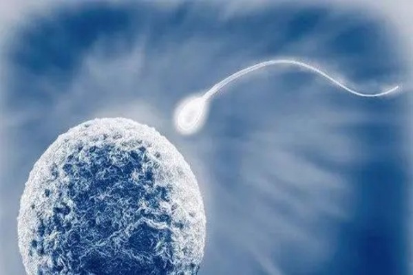生殖中心第三代试管婴儿优势主要如下：广西助孕试管