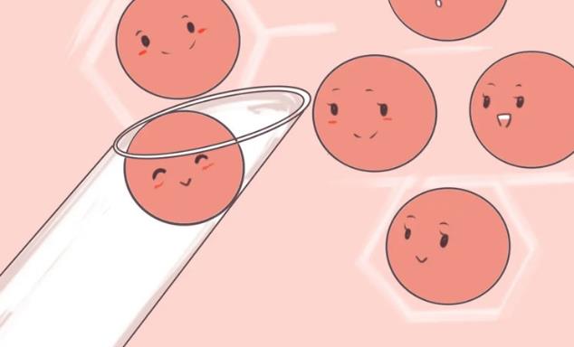 胚胎着床胚胎移植时间北京三代试管十五周多少钱