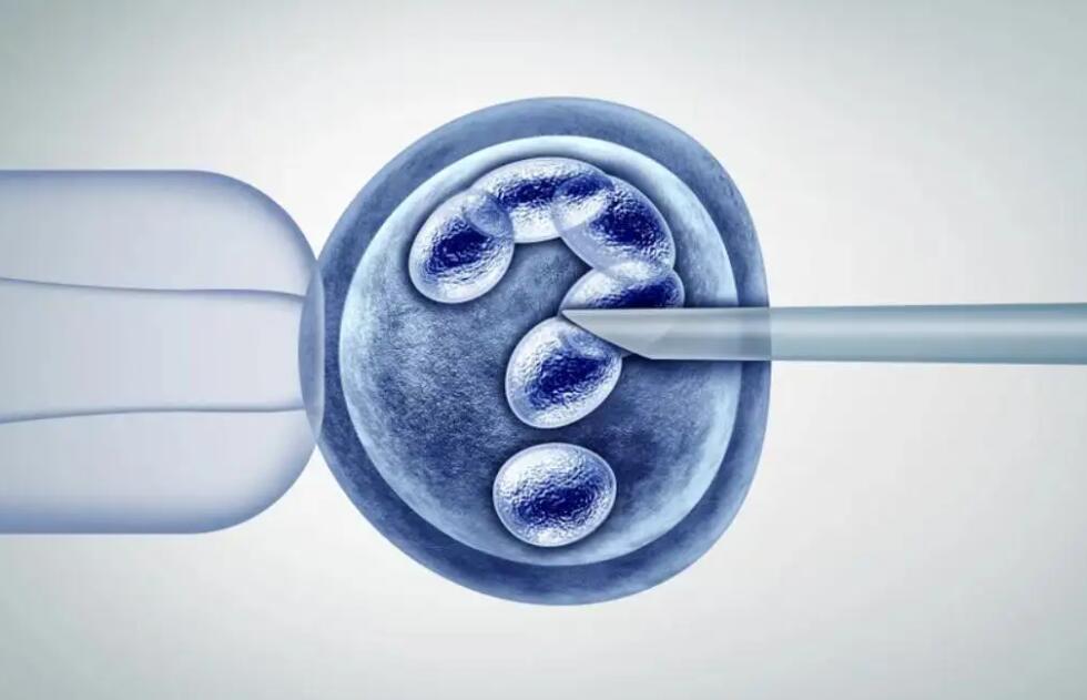 反复流产后的试管婴儿胚胎移植：重拾生育信心