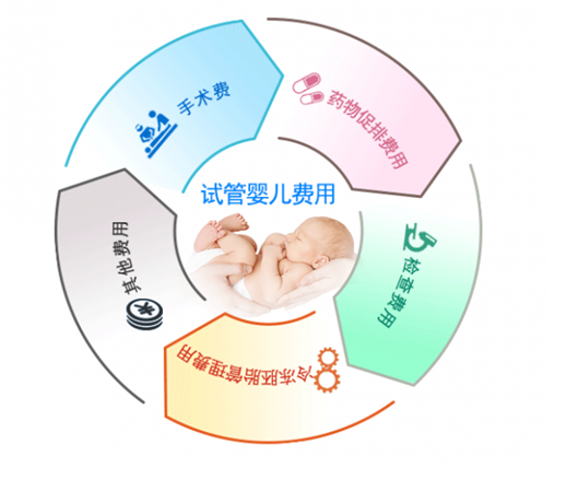 试管婴儿技术与其他生育方式比较北京哪里做试管成功率高