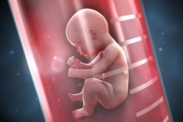 胚胎着床影响胚胎着床因素广西三代试管能报销多少钱