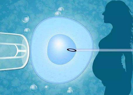 胚胎着床胚胎发育慢广西试管婴儿哪家医院成功率高