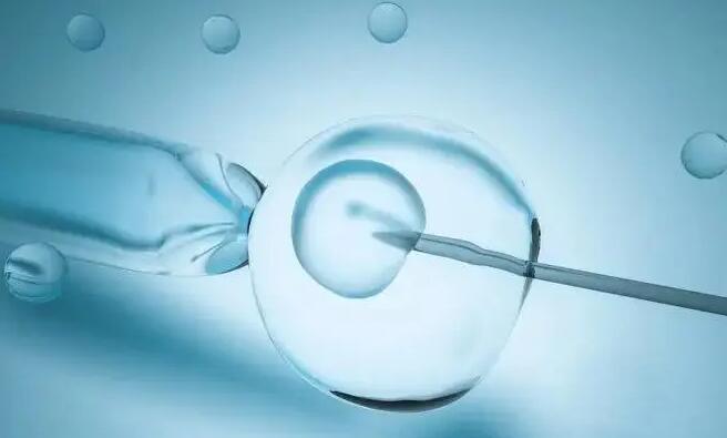 优思明长方案助力试管婴儿：从内分泌调整到胚胎移植
