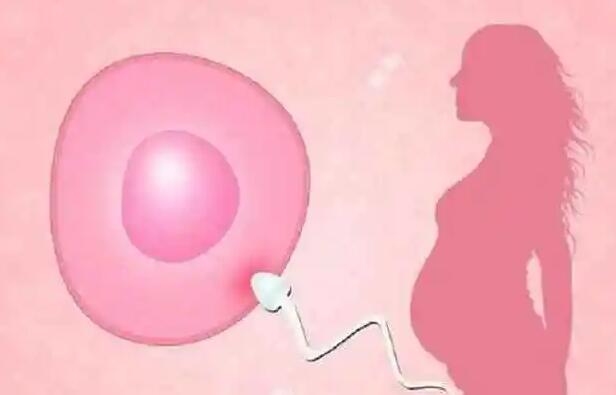不孕不育在家庭中带来的困扰及女性不孕的症状解析