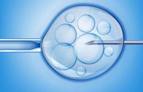 胚胎着床胚胎移植成功率福建第三代试管成功率排行