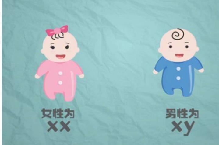 40岁做第三代试管婴儿有什么好处?北京试管助孕哪里做