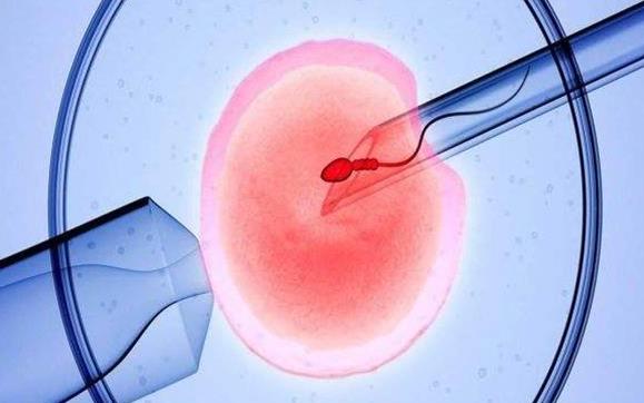 胚胎着床胚胎血型广西三代试管需要多少钱左右