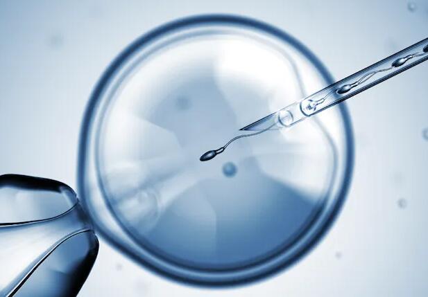 胚胎着床胚胎发育过程图北京45岁做试管婴儿成功率