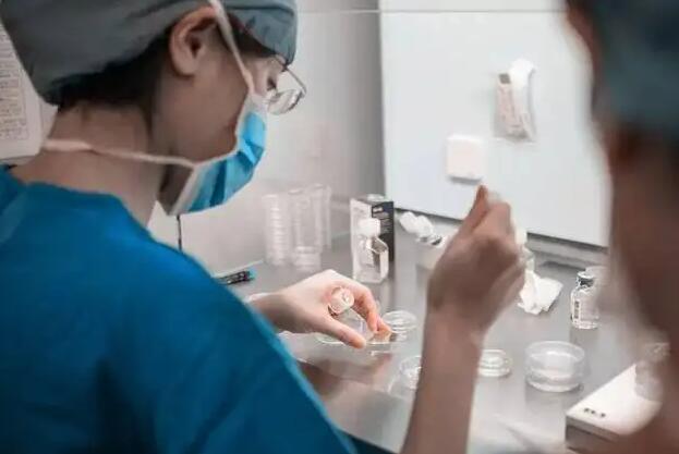 如何选择做单身试管婴儿医院?北京试管婴儿多胎移植成功率高吗