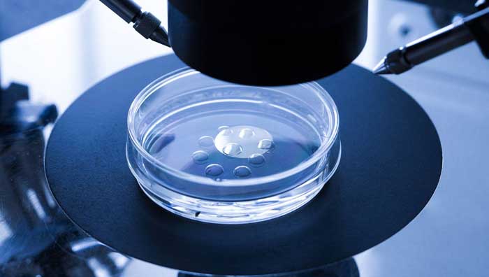 胚胎着床影响胚胎着床因素四川做试管婴儿成功率多大