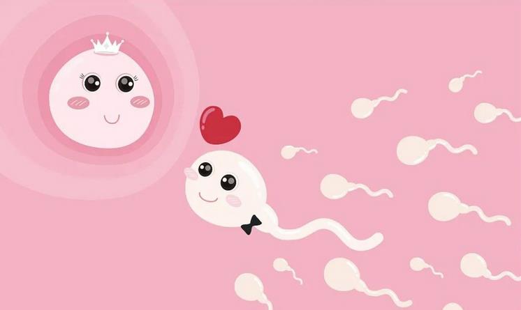 胚胎着床胚胎活检和北京的试管婴儿成功率