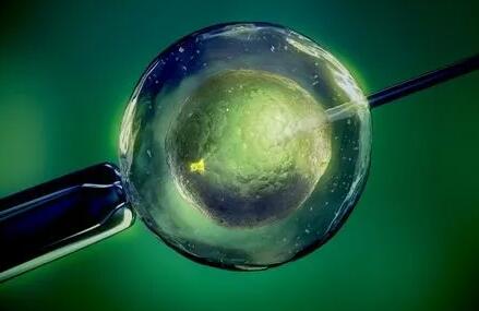 胚胎着床胚胎着床症状上海哪里做试管成功率大