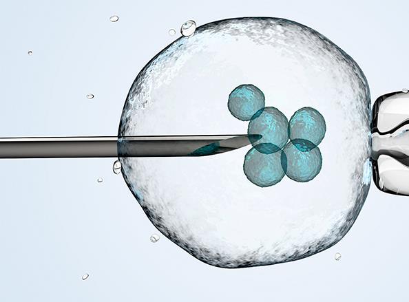 胚胎着床胚胎血型湖南可靠的助孕机构