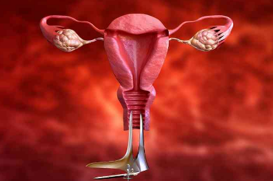 胚胎着床4bc胚胎广西三代试管怀孕保胎多少钱