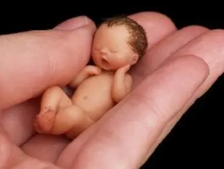 试管婴儿技术后的新生儿护理北京三代试管胚胎移植多少钱