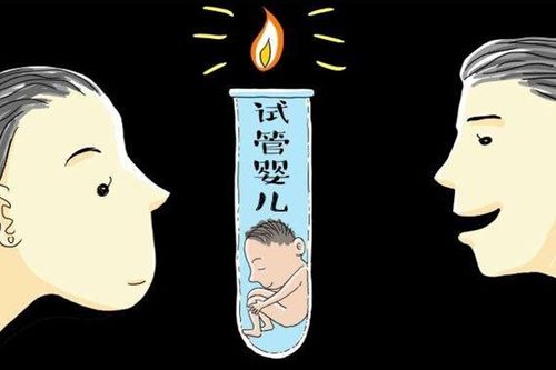 胚胎着床胚胎解冻费用北京做试管婴儿成功率具体有多