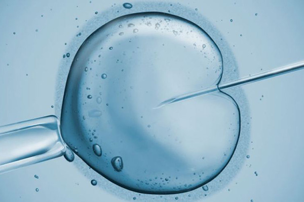 胚胎着床胚胎存活率北京试管婴儿三代助孕机构名单