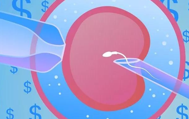 试管婴儿长方案中的降调节与促排卵：作用与流程详解