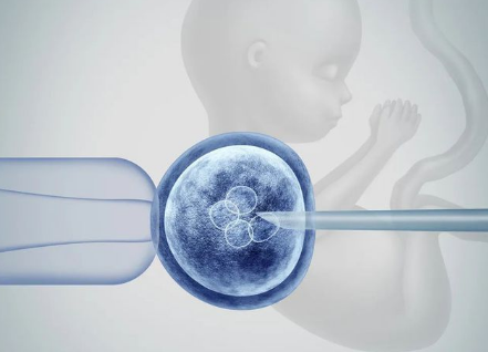 胚胎着床4bc胚胎北京能做三代试管多少钱