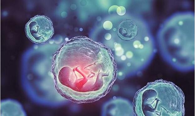 胚胎着床胚胎分级标准北京三代试管成功率排名