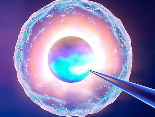 胚胎着床胚胎发育慢上海做三代试管要花多少钱