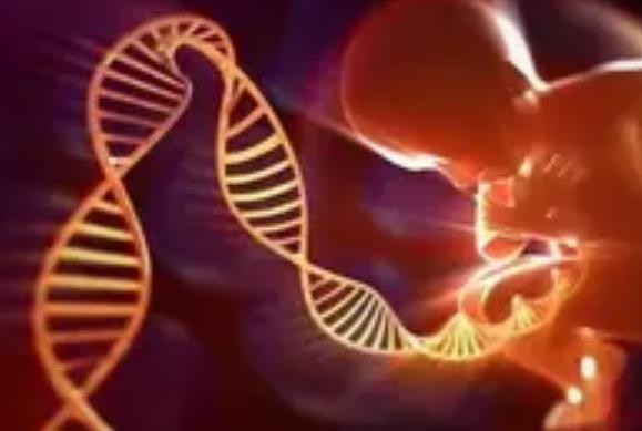 自然周期试管婴儿过程详解：从卵泡发育到胚胎移植