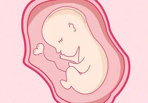 试管婴儿移植成功率解读：哪些因素会影响孕育结果？