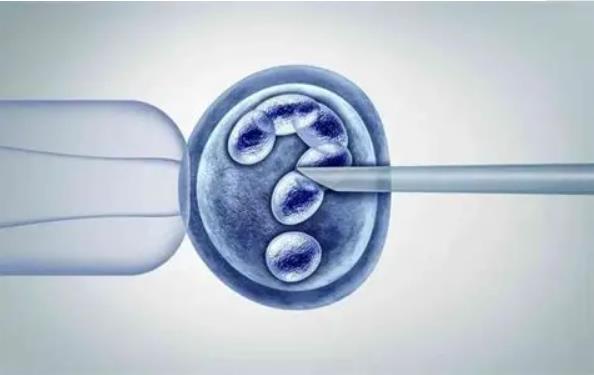胚胎着床胚胎停育四川试管三代需要多少钱呢