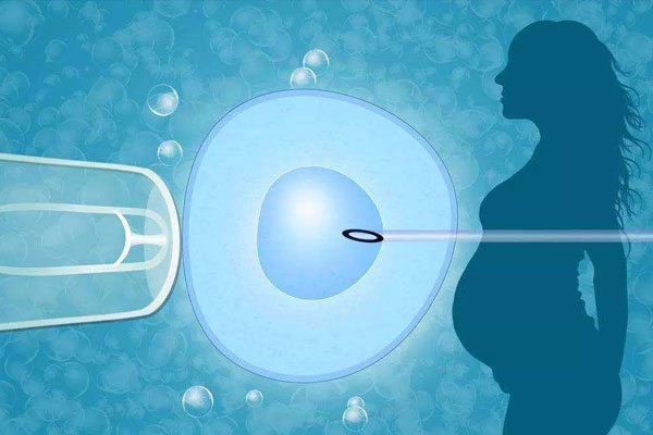 胚胎着床胚胎成功率湖南做试管婴儿助孕多少钱？