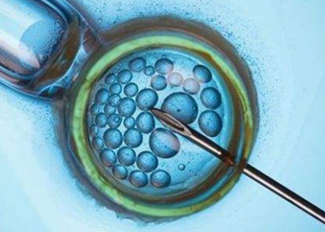 试管长方案短方案湖南三代试管胚胎筛查多钱