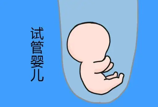 试管婴儿技术的未来发展北京试管三代保胎费用多少钱